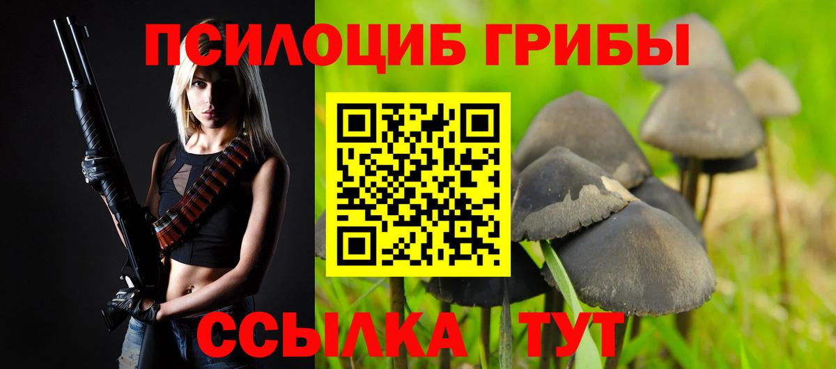 Галлюциногенные грибы Psilocybine cubensis  Галлюциногенные грибы Psilocybe  Вход с VPN  Сургут 